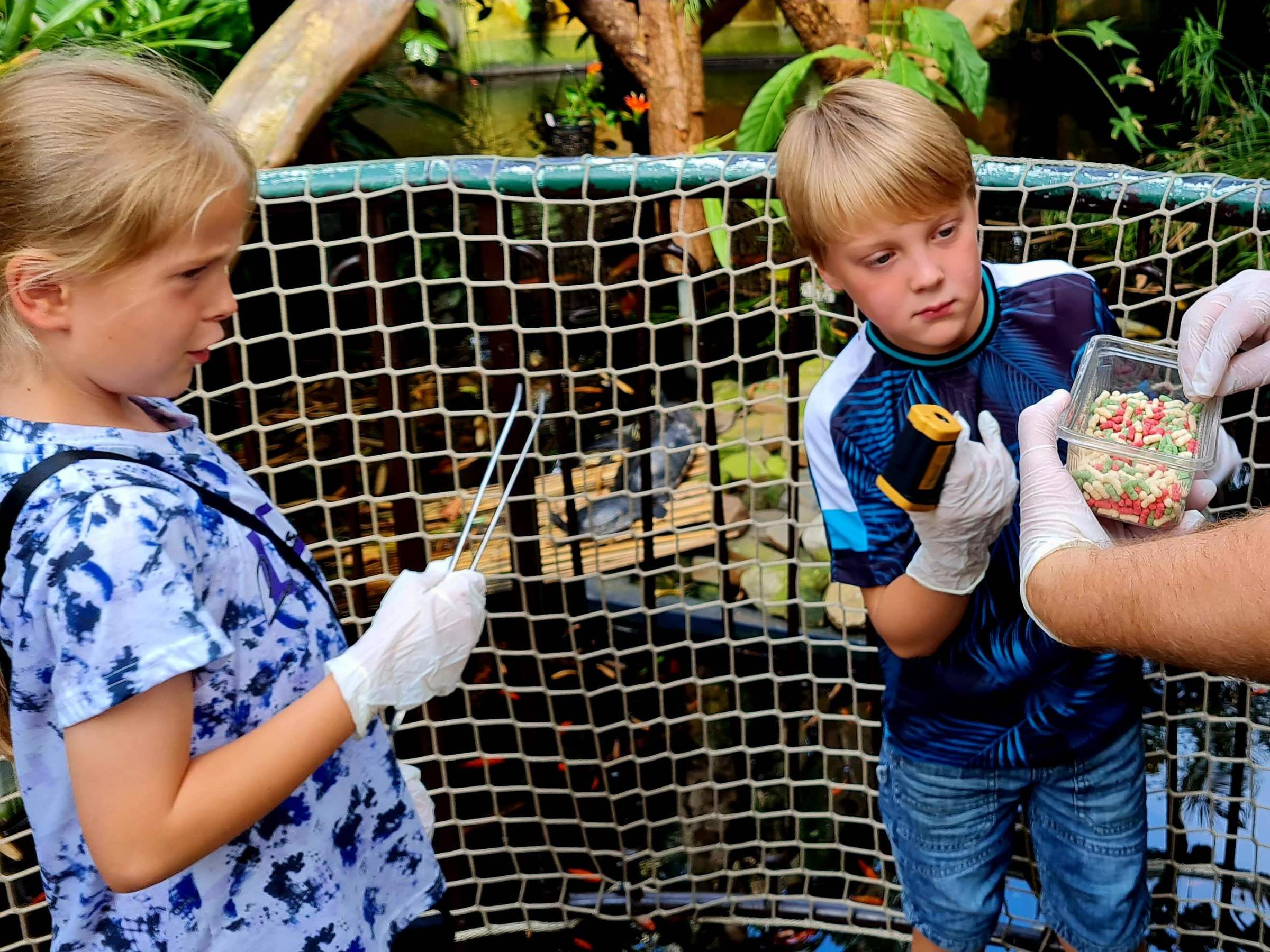 a little boy and girl looking at fish food in a zookeepers hands