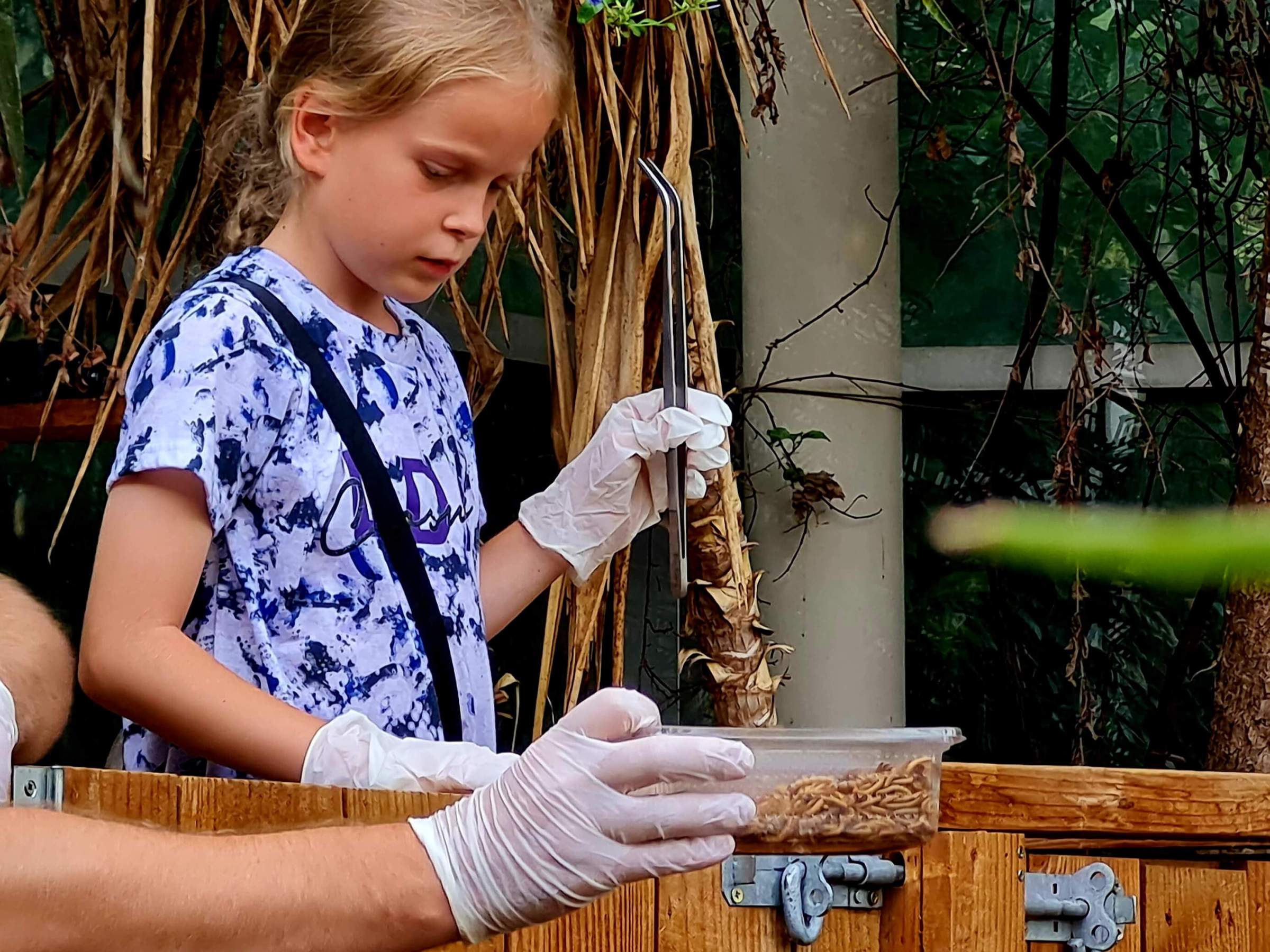 a little girl standing in front of a fence looking at a box of mealworm