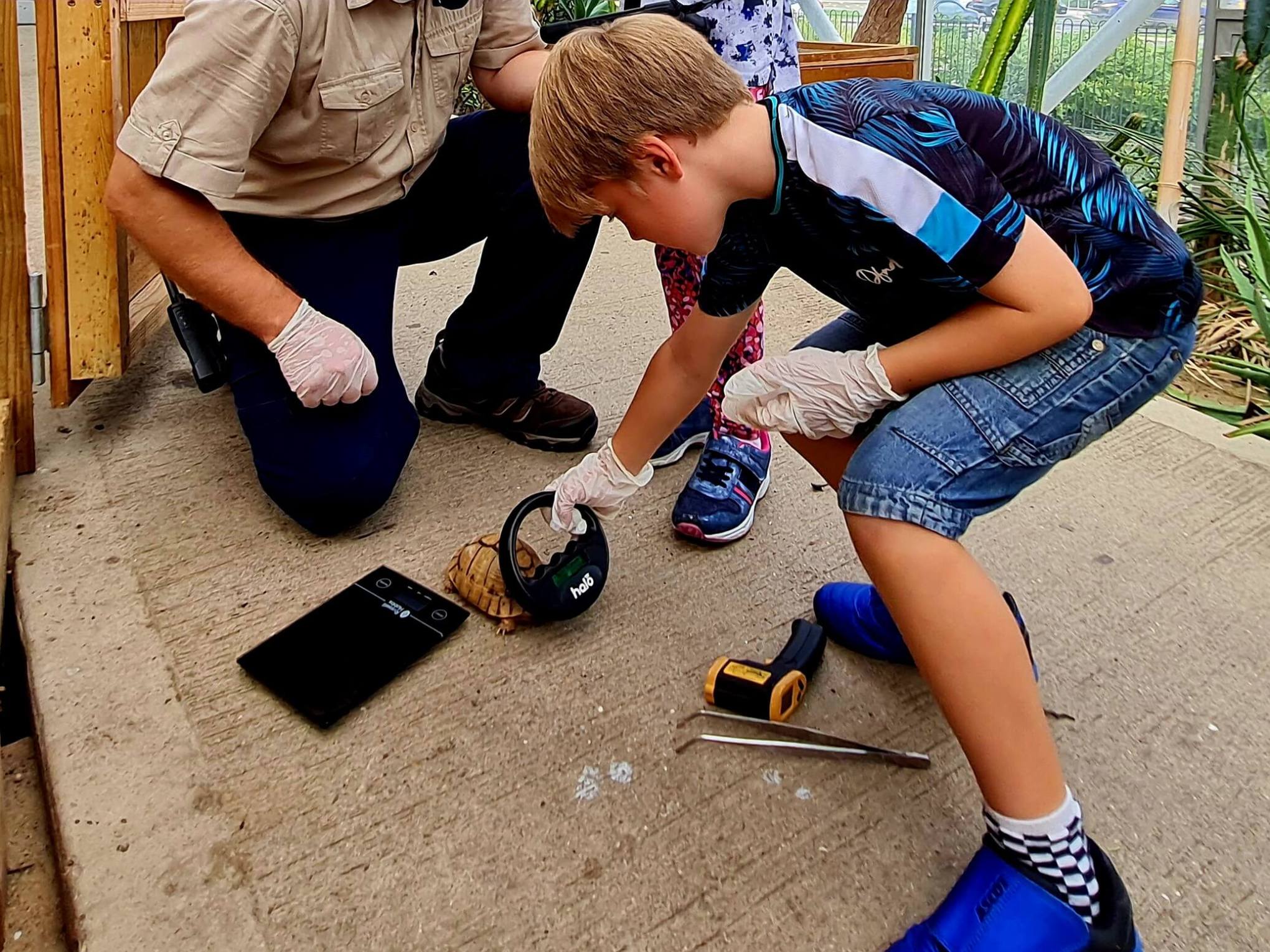 a little biy holding a circular microchip detector device next to a tortoise on the floor
