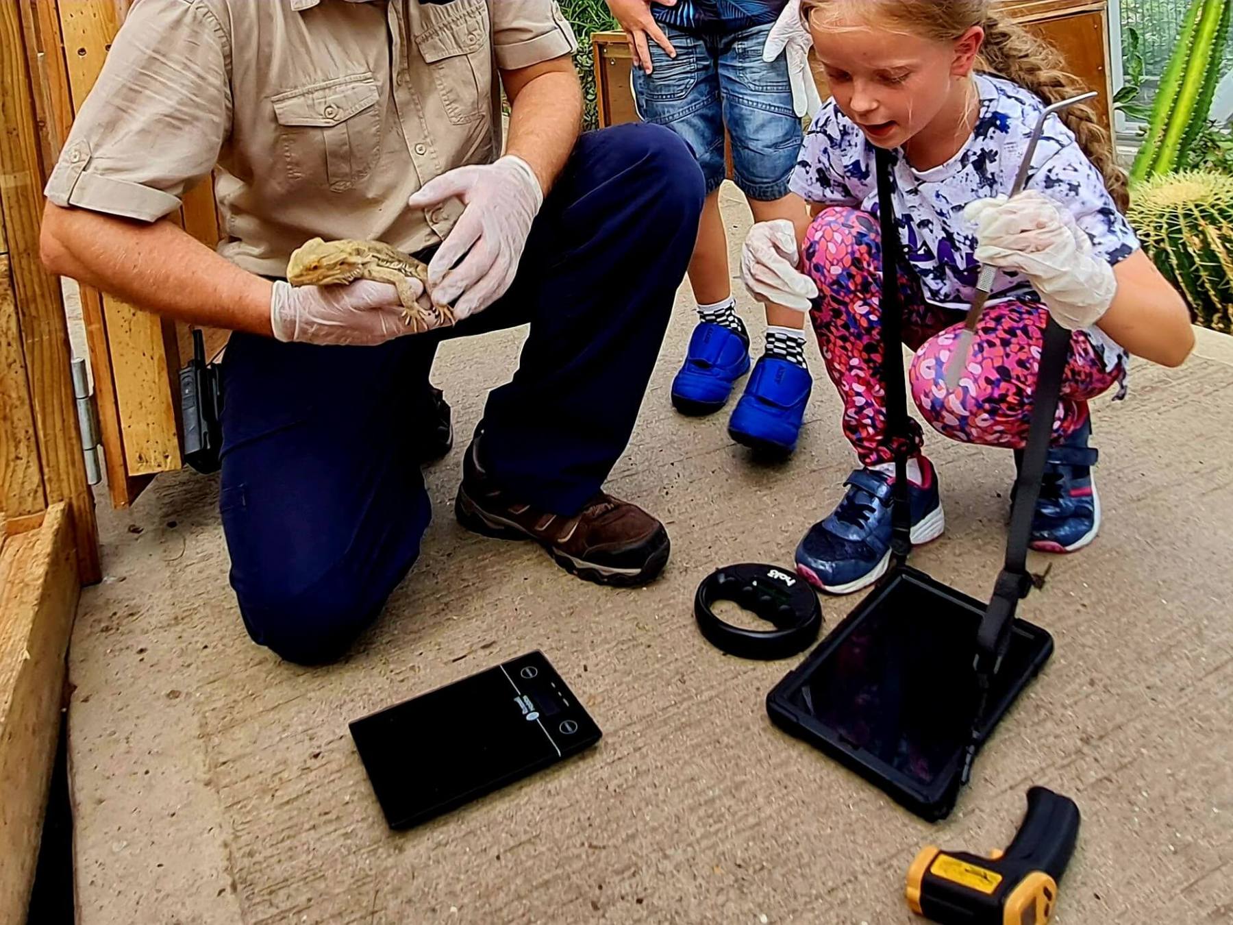 a zookeeper holding a bearded dragon in his hands with a little girl looking at it