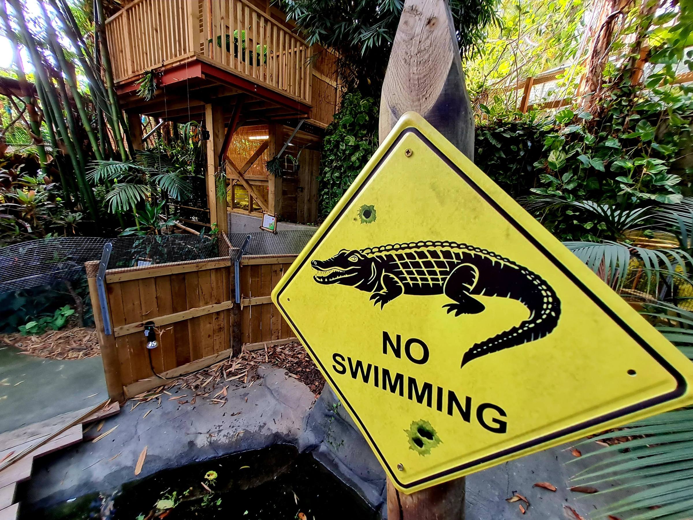 a close up of a crocodiles NO SWIMMING sign