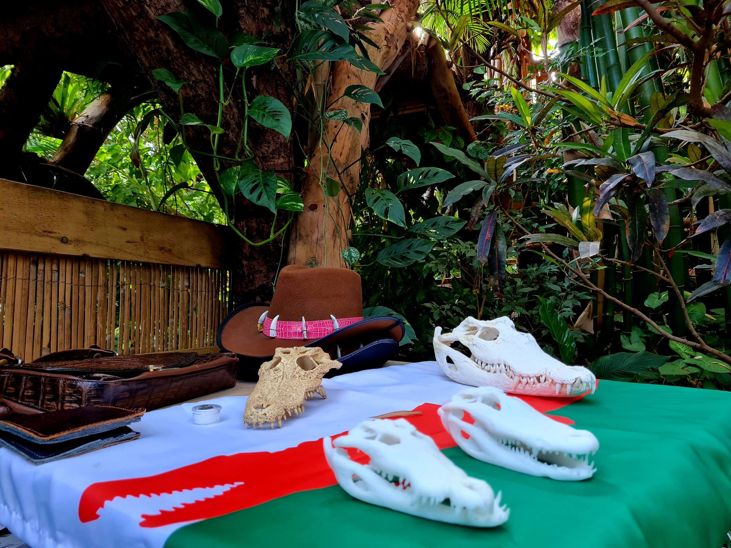 a table full of items relating to crocodiles
