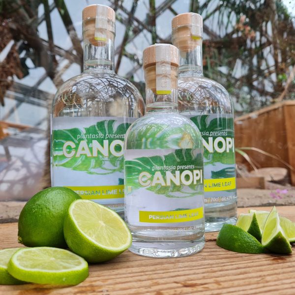 Plantasia Canopi Gin