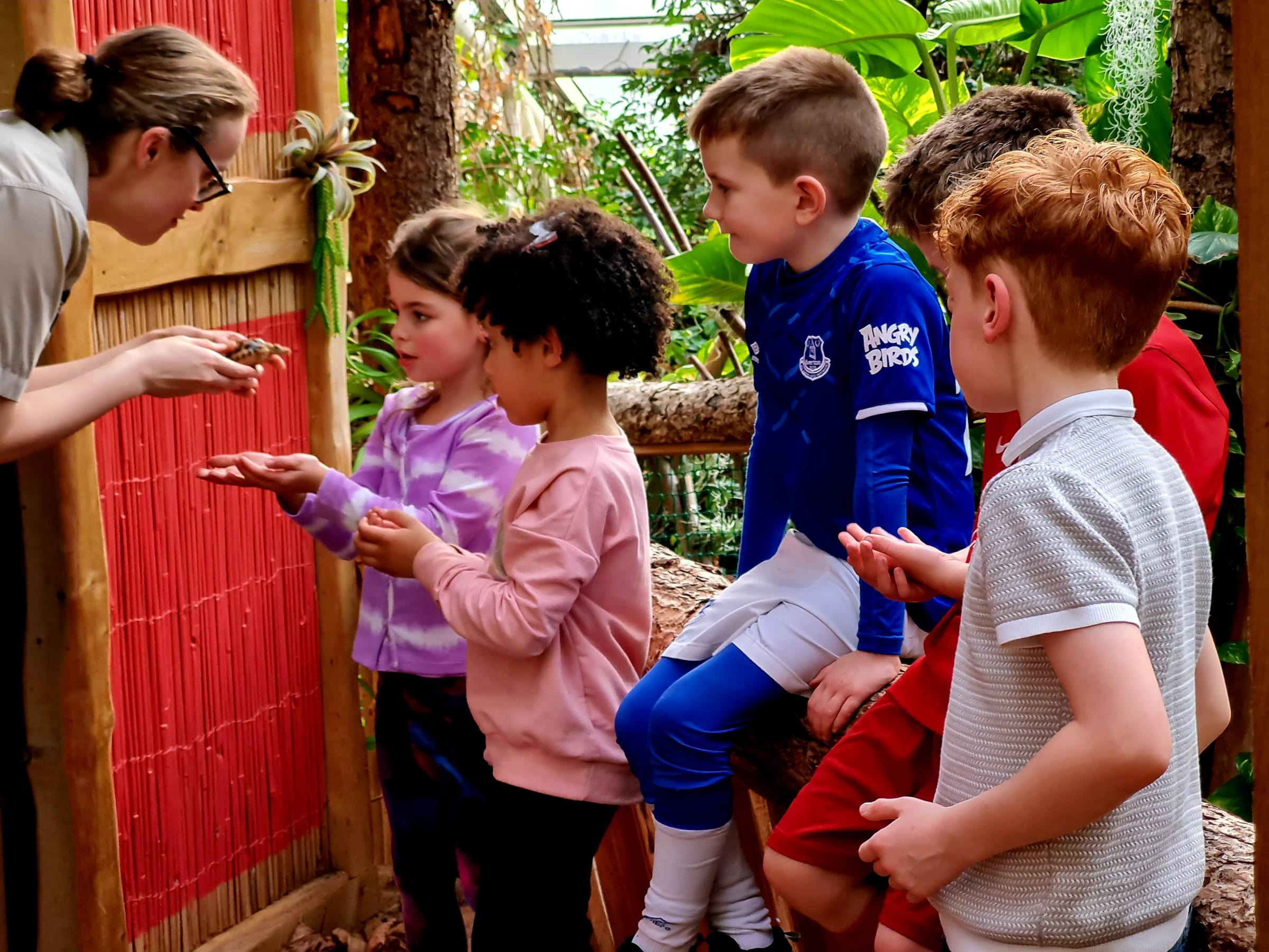 a group of young children looking at a tortoise in a zookeepers hands