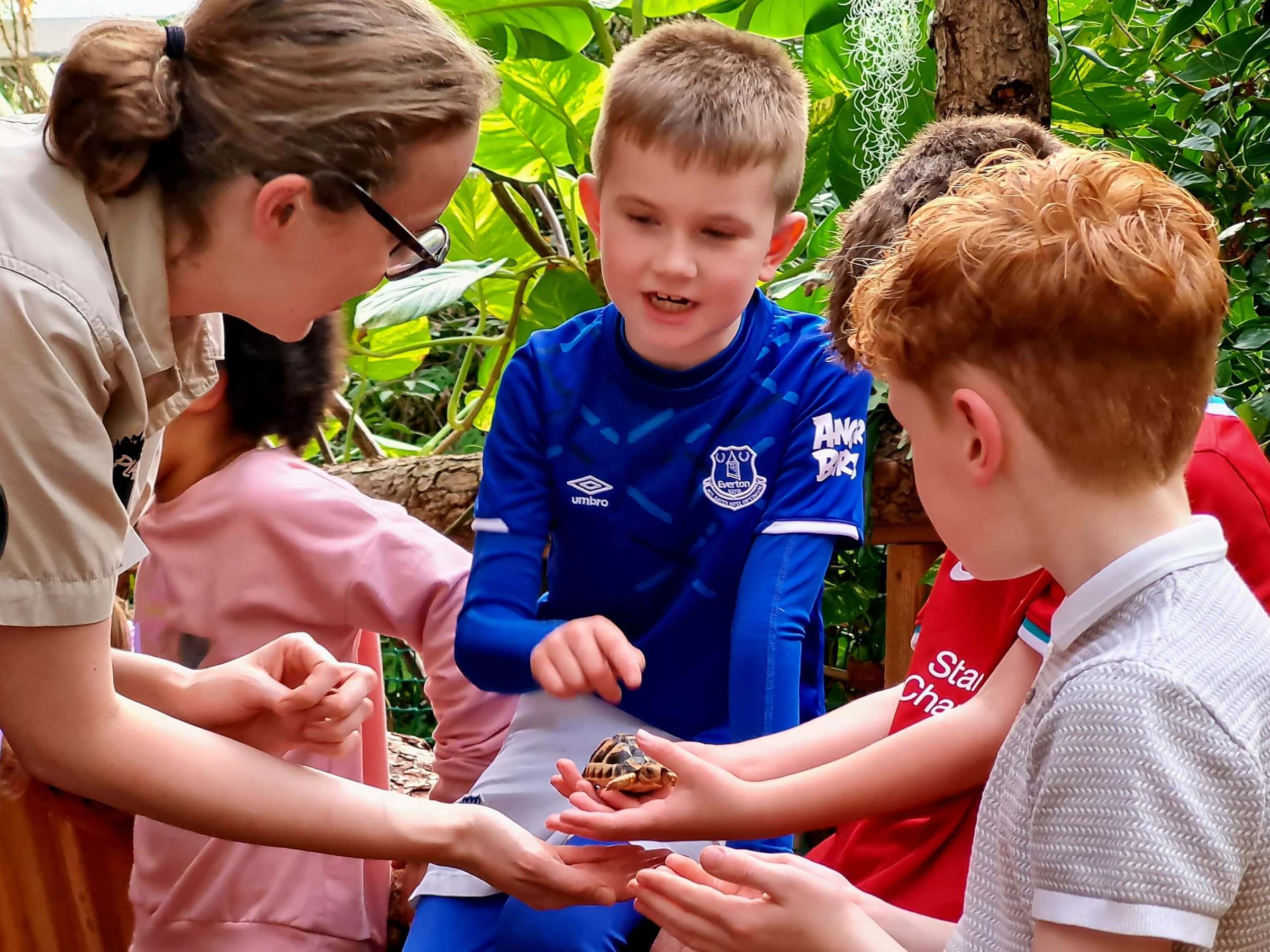 a group of children looking at a tortoise
