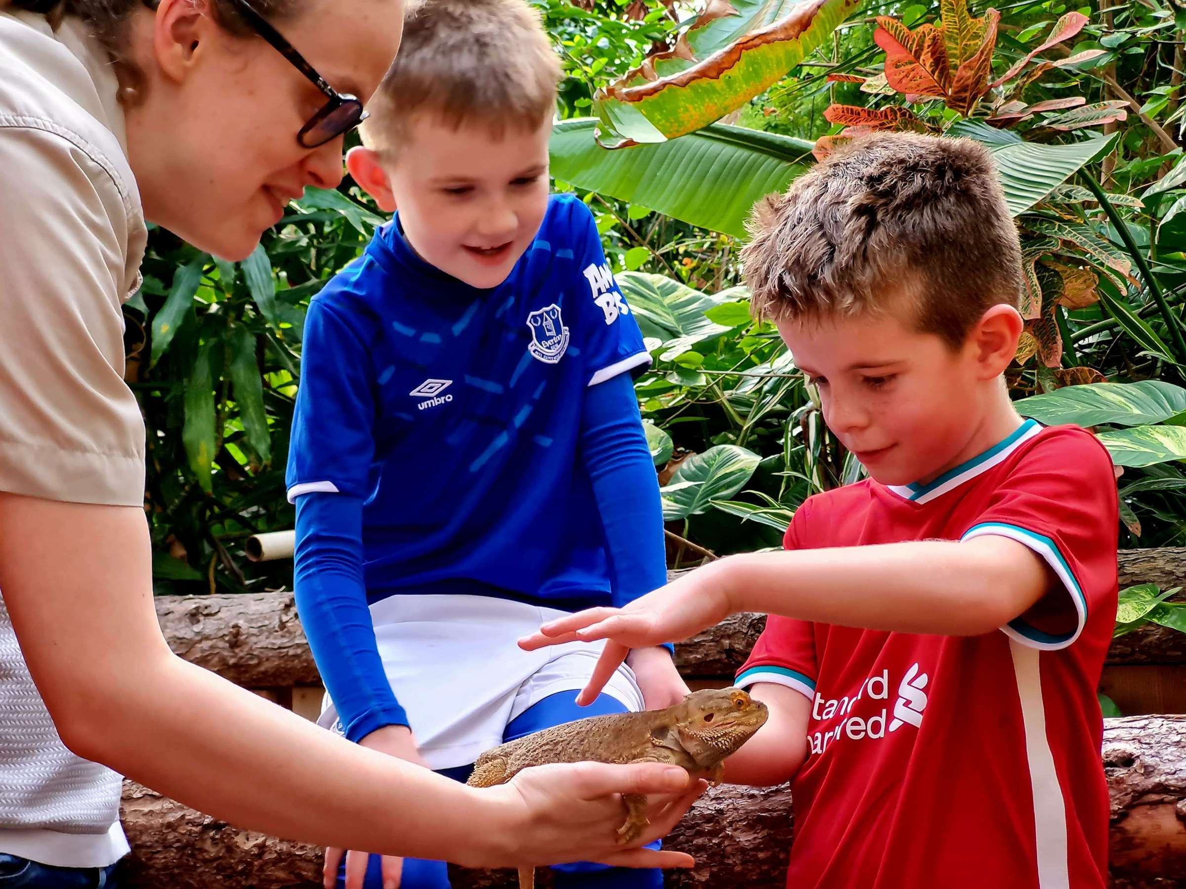 a young boy holdind a bearded dragon