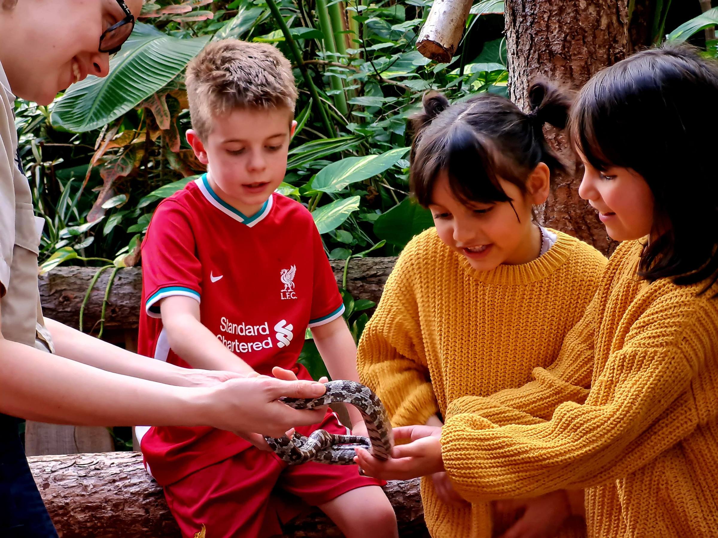 a group of young children holding a snake