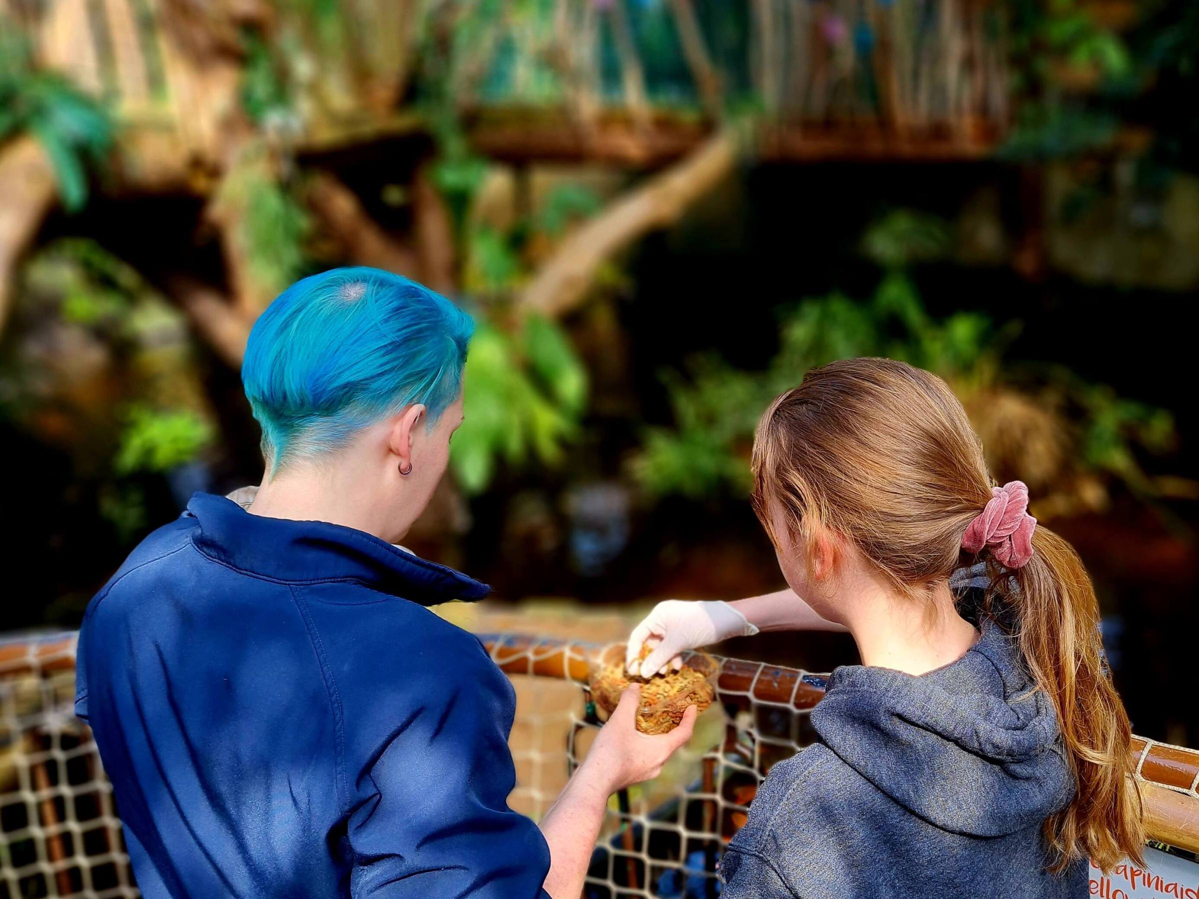A girl and a zookeeper feeding the fish by a rope bridge