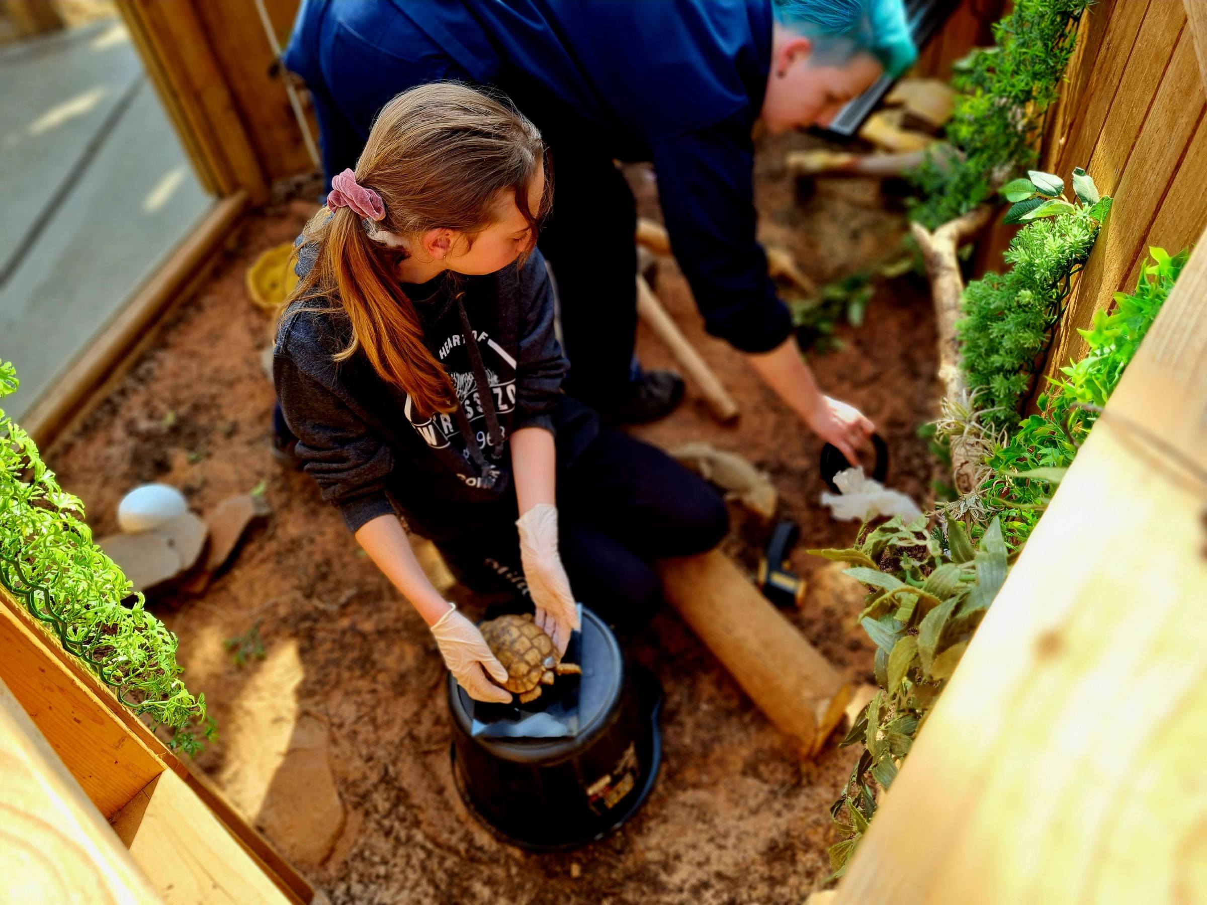 a young girl holding a tortoise on top of a bucket