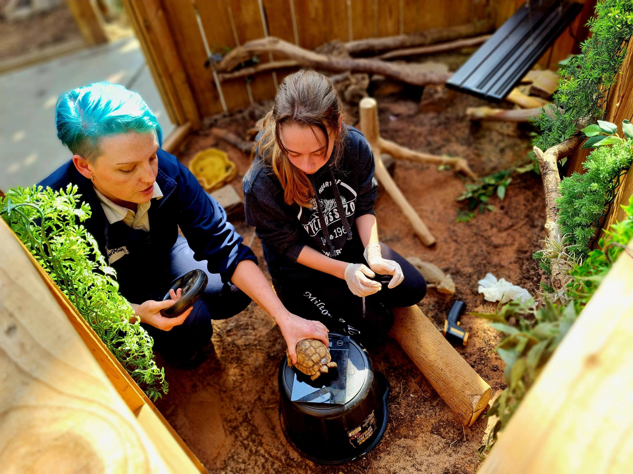 a zookeeper and a young girl weighing a tortoise on top of a bucket