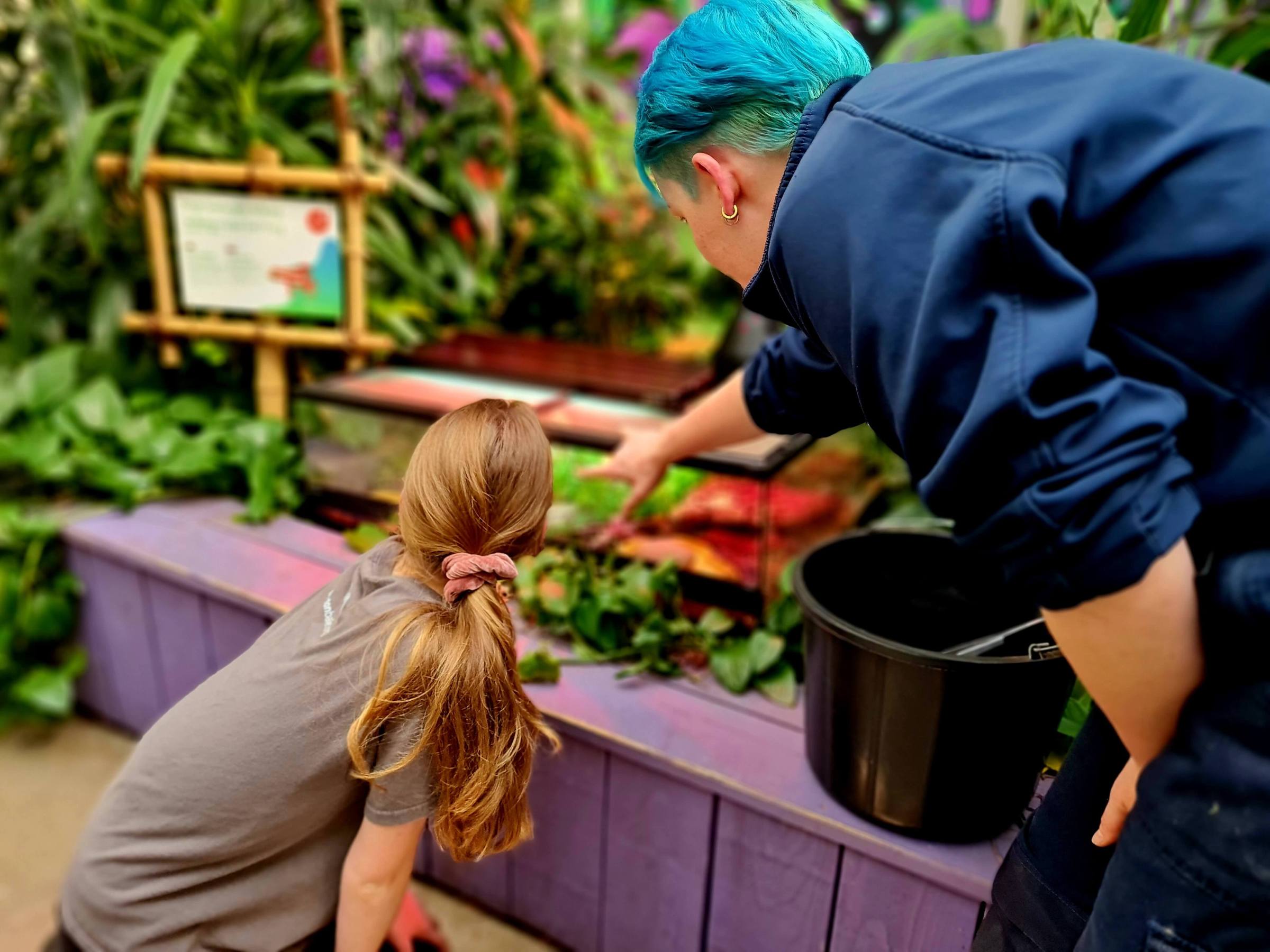 a young girl and a zookeeper looking at insects in their habitat