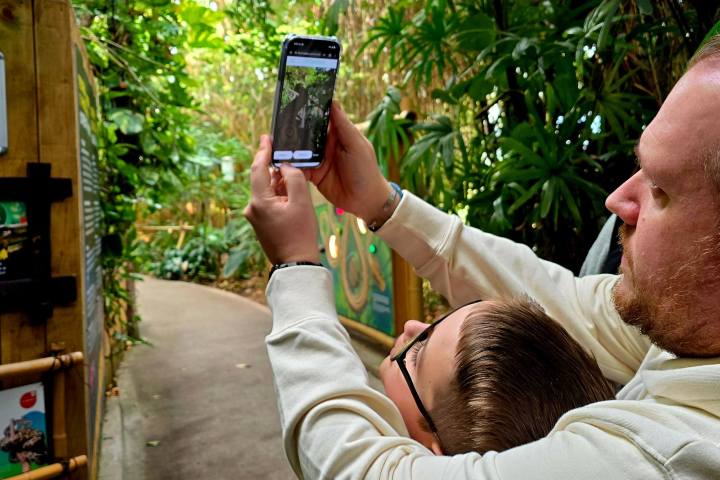 a person talking on a cell phone