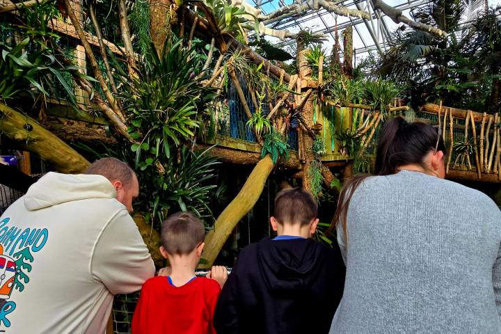 a group of people standing in front of a tree