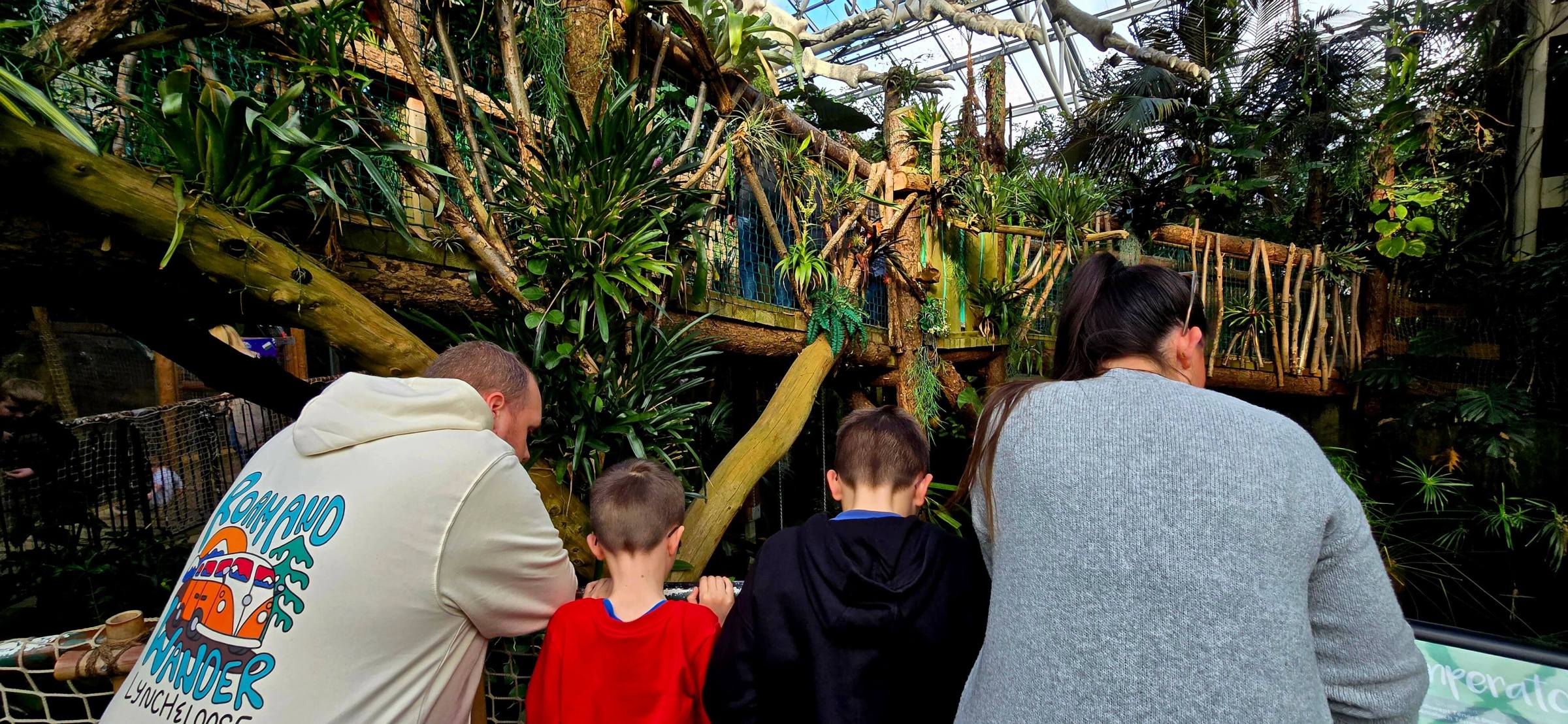 a group of people standing in front of a tree