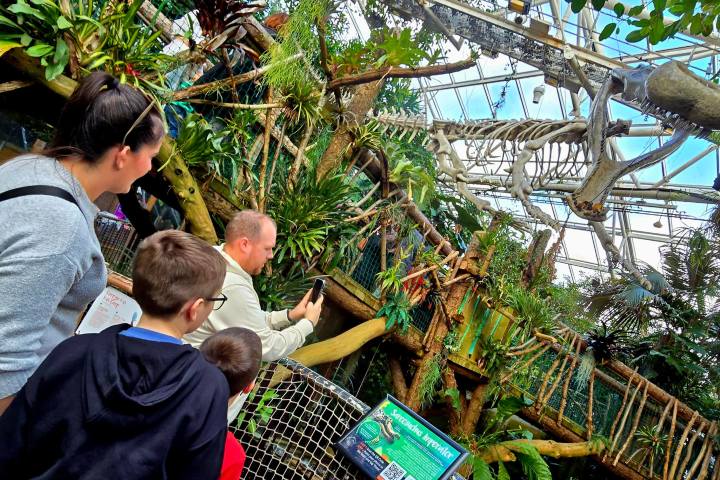 a young boy standing in front of a tree