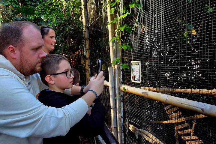 a person holding a baseball bat in front of a fence