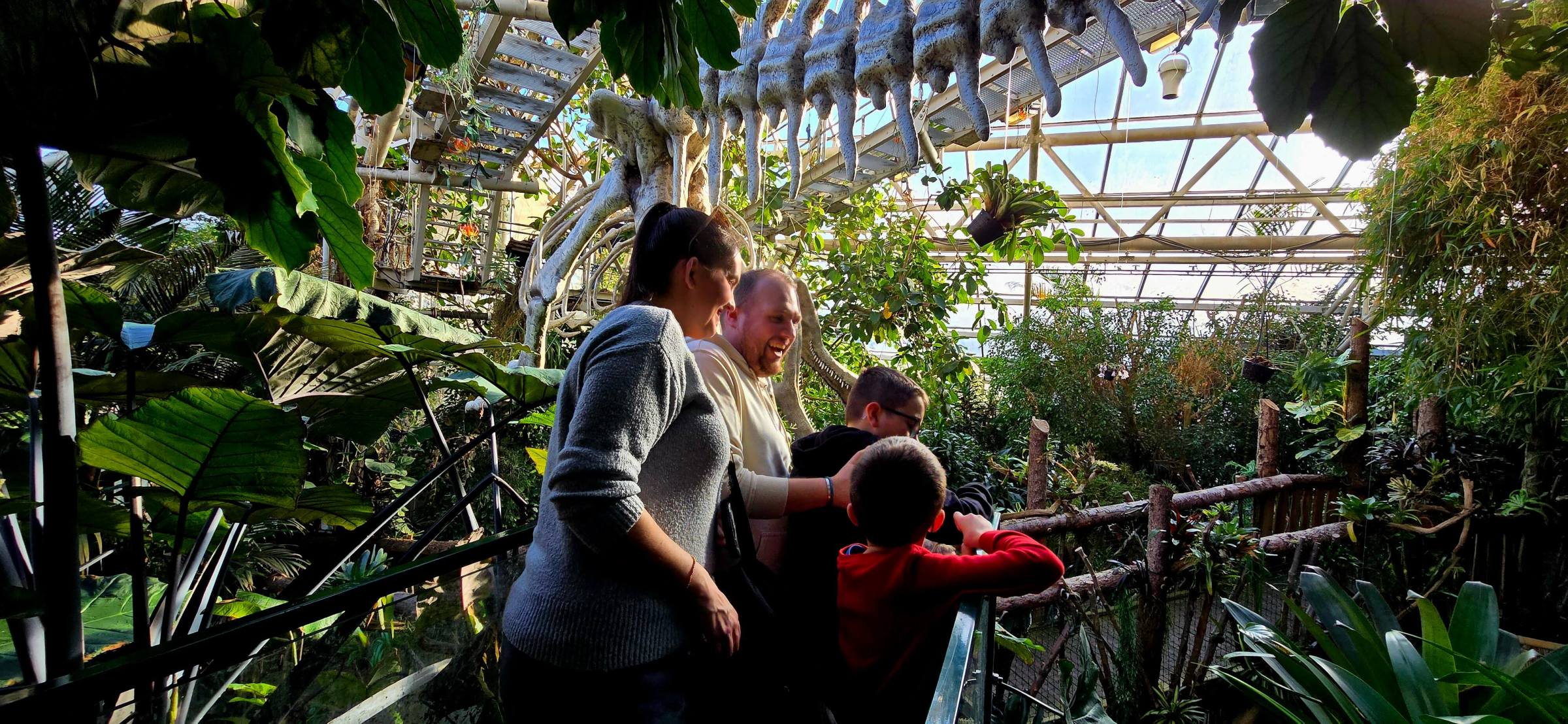 a man standing in front of a tree