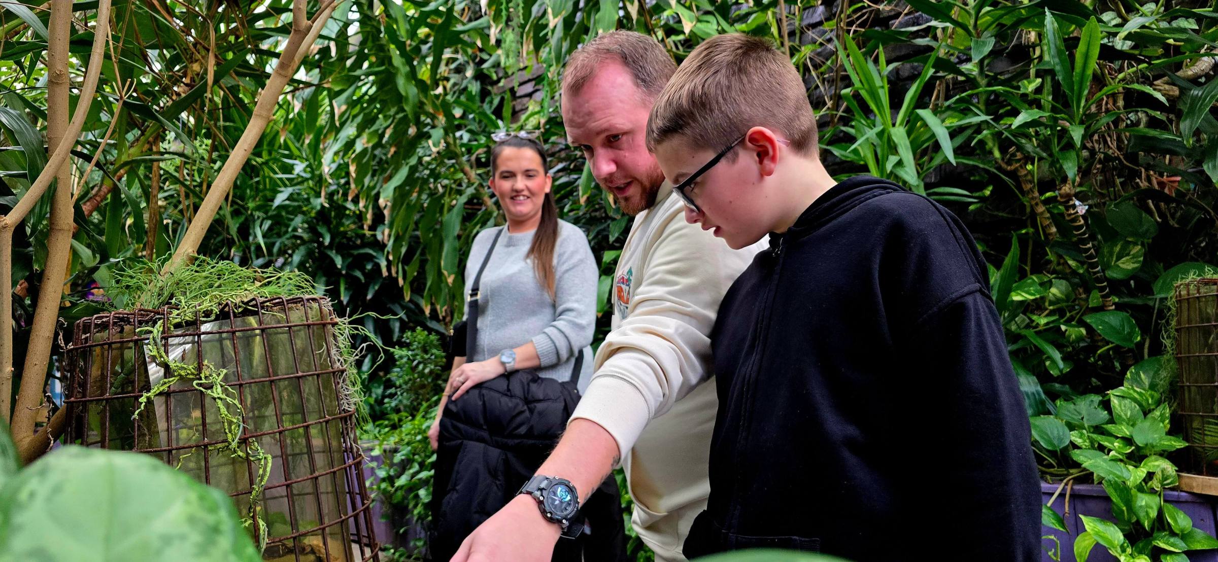 a man standing in a garden