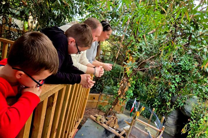 a man holding a child