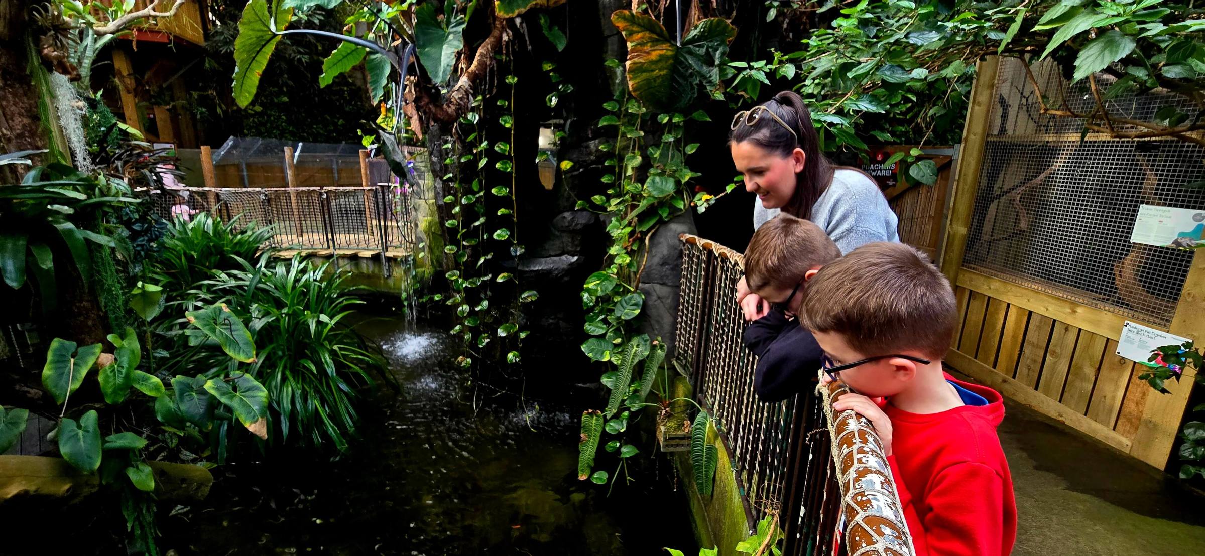 a young boy in a garden