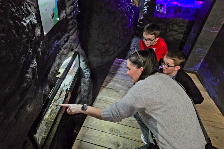 a man sitting on a bench