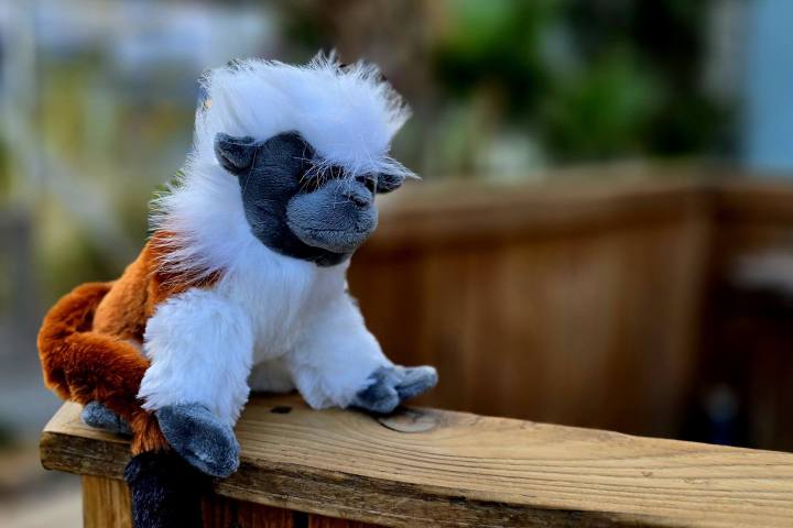 Stuffed cotton-top tamarin monkey toy with white and brown fur sitting on a wooden railing.