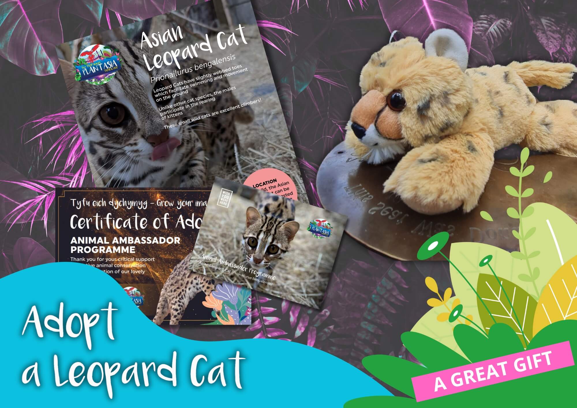 Adopt a Leopard Cat stuffed toy with its contents displayed alongside