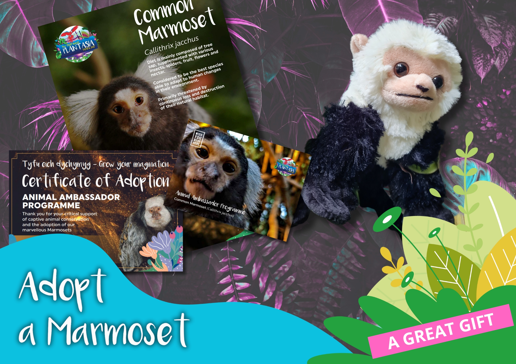 Adopt a Marmoset stuffed toy with its contents displayed alongside