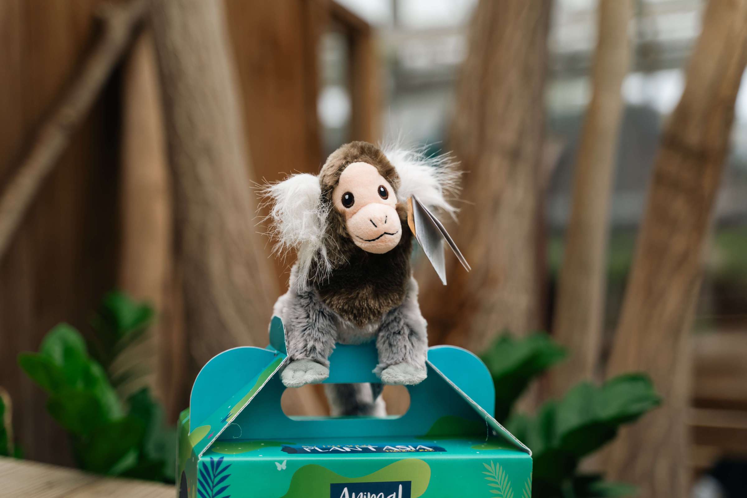 a close up of a marmoset toy sitting on top of its adoption pack box