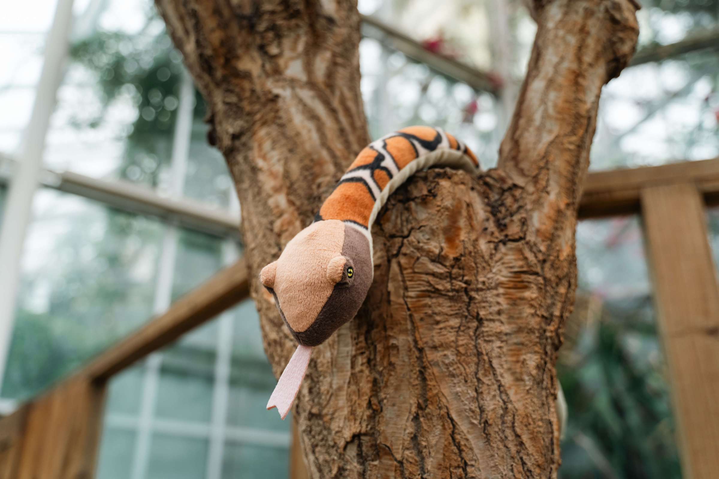 a stuffed animal snake in a tree