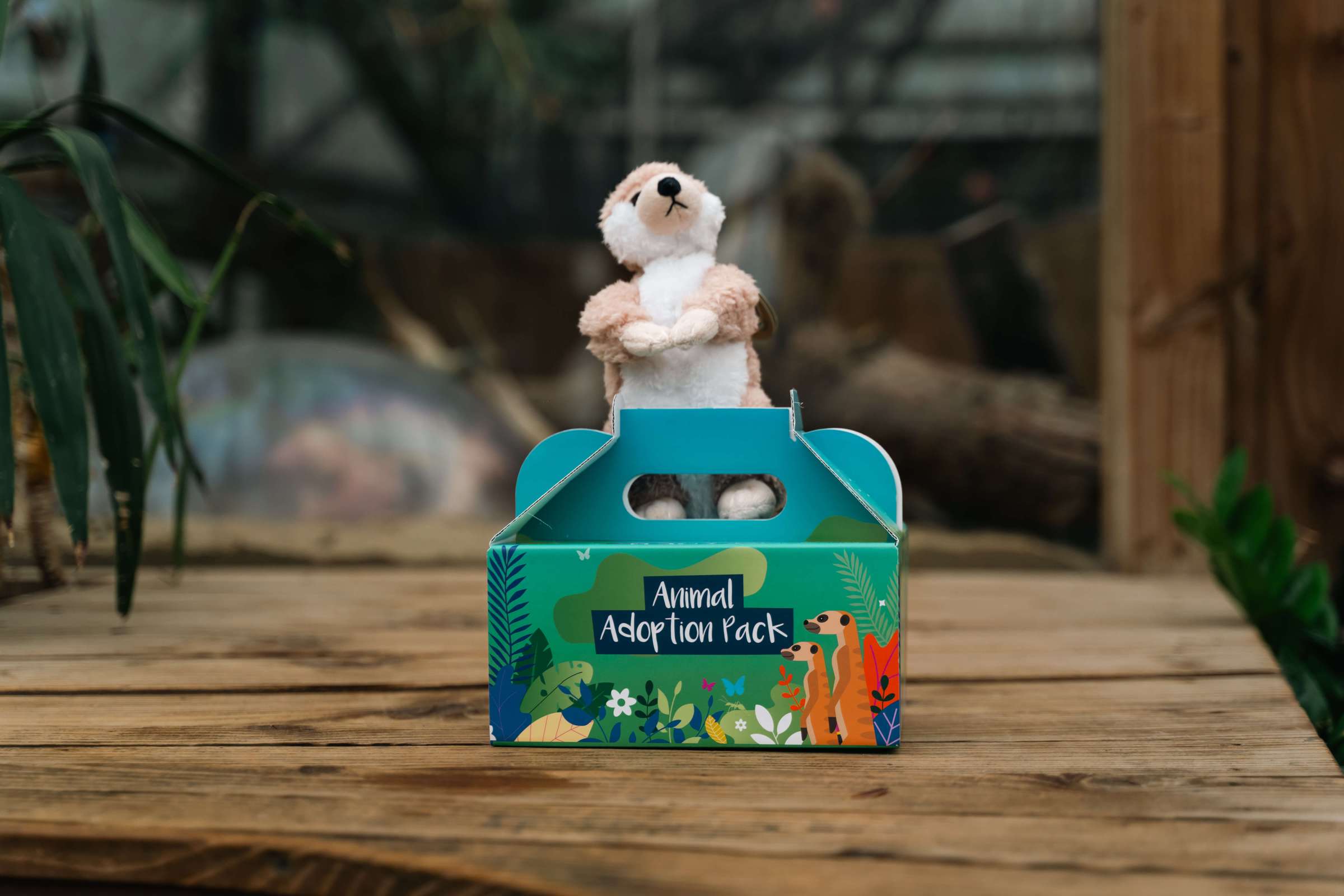 a meerkat toy sitting on top of its adoption pack box