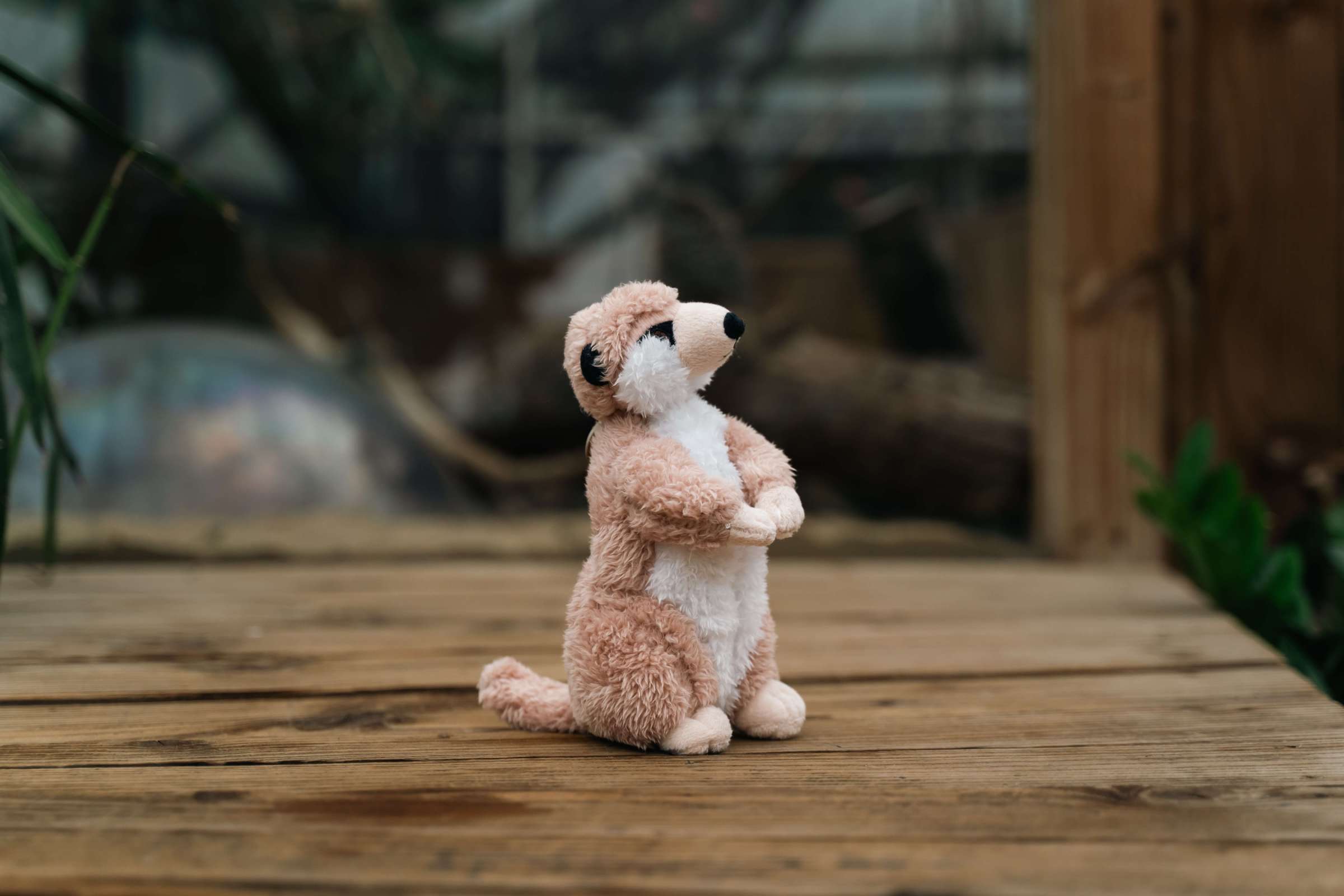 a meerkat toy sitting on top of a wooden bench