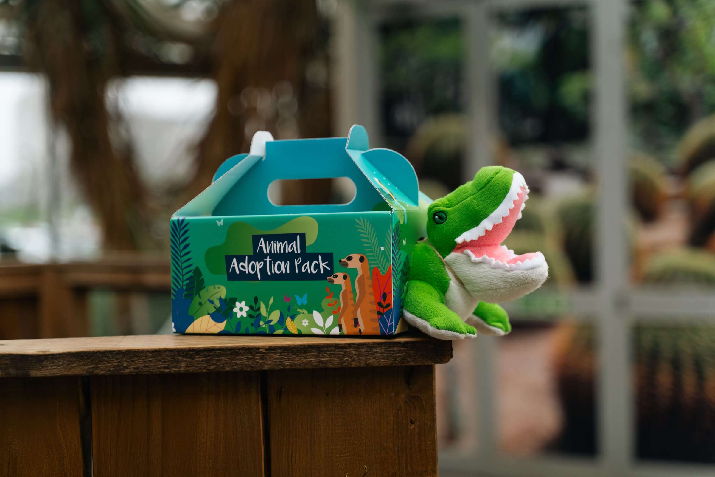 a close up of a toy crocodile poking its head out of its adoption pack box