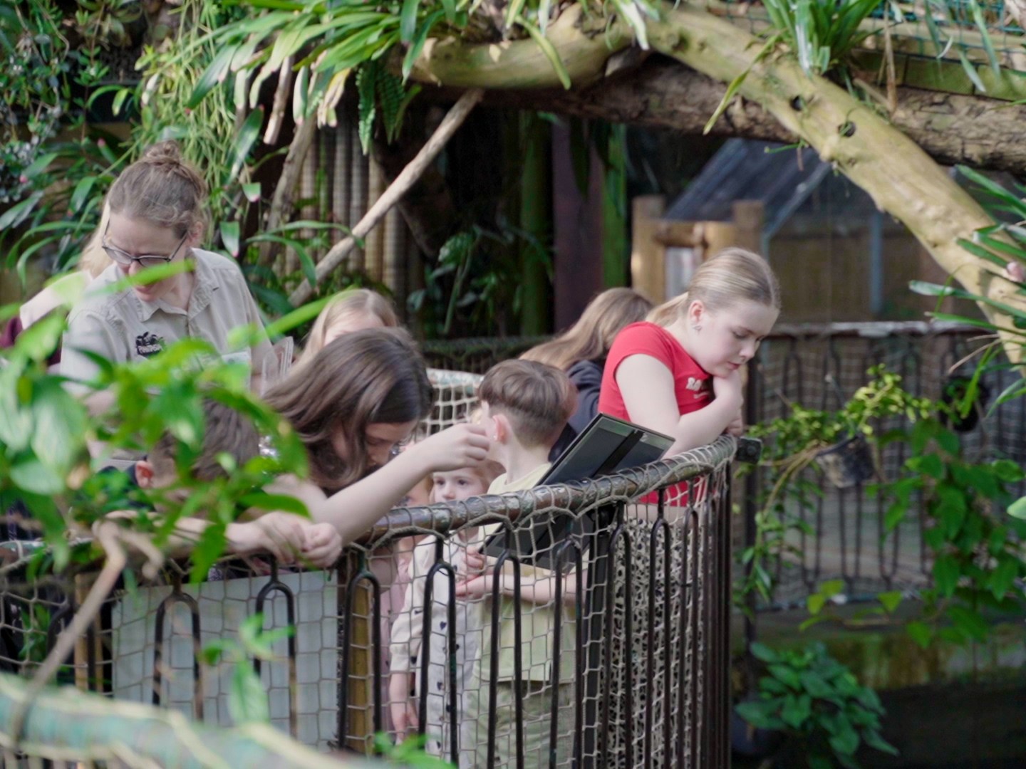 a group of people looking over a fence into the pond