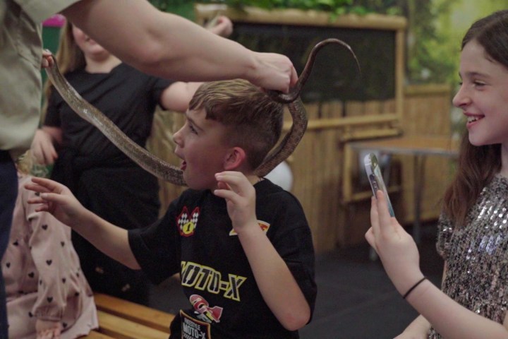 a young boy with a snake around his neck