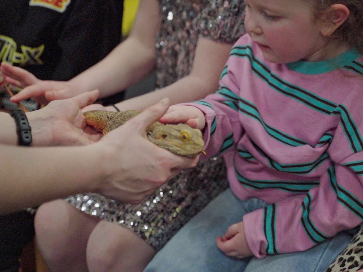 a young girl touching a bearded dragon