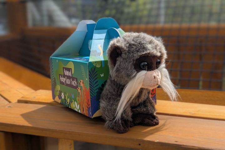 Stuffed monkey toy with long whiskers next to a colorful gift box on a wooden surface.