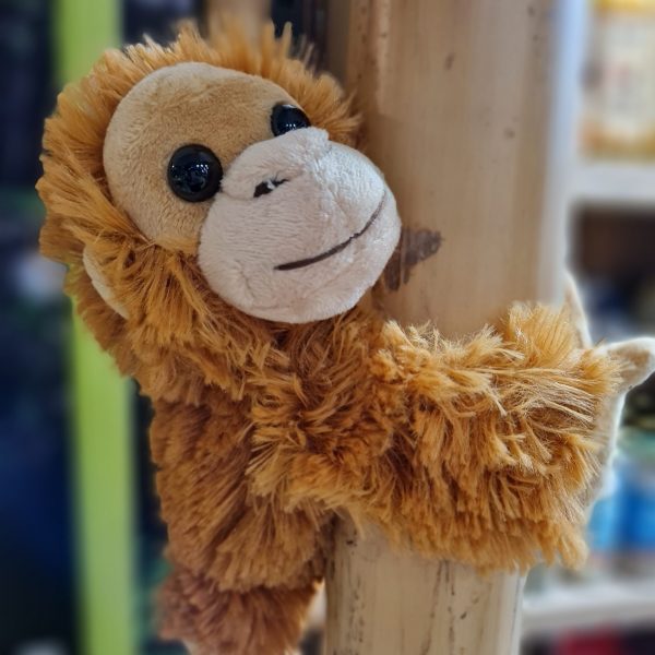 a close up of a brown teddy bear