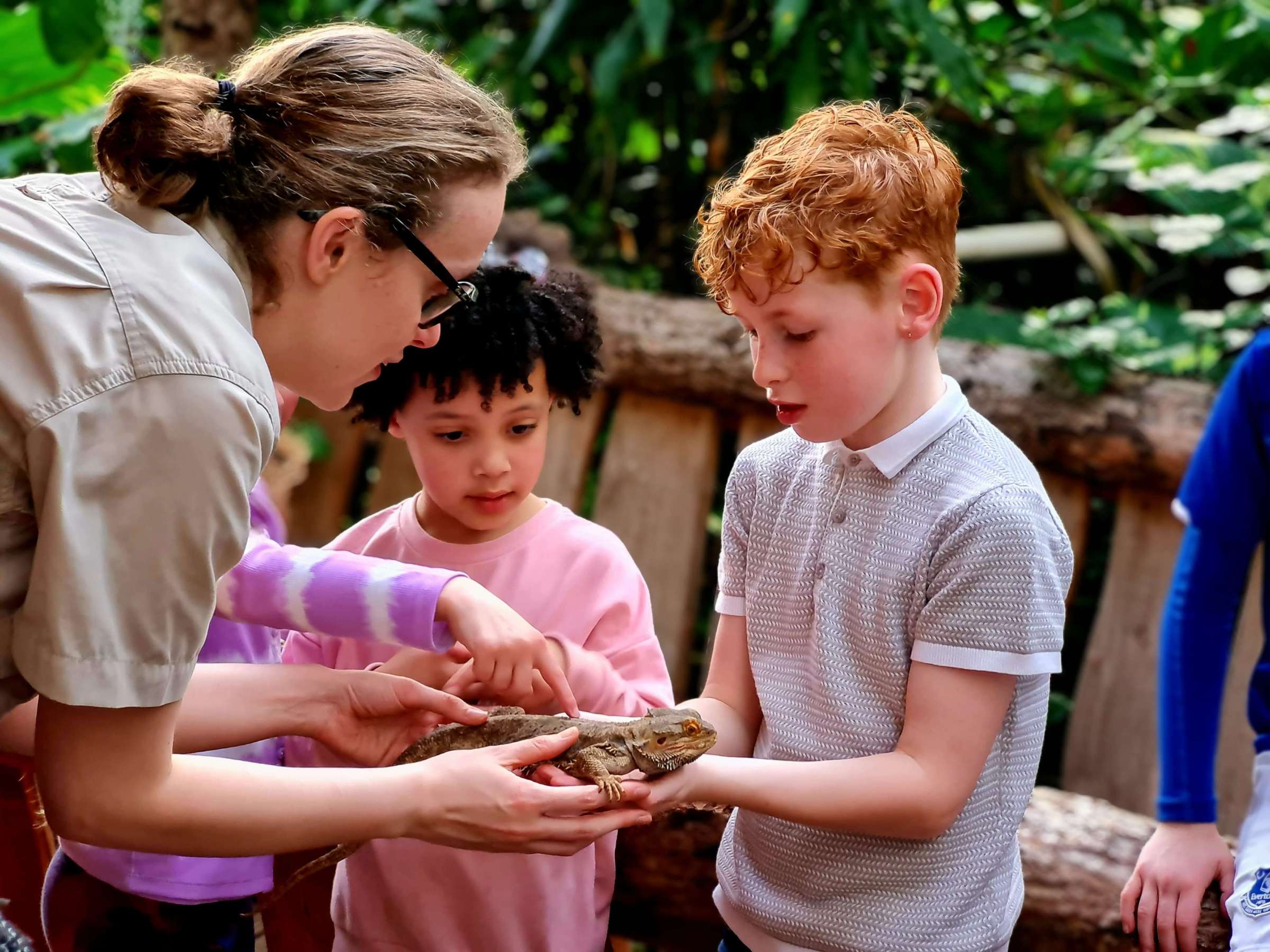 a group of young children holding a bearded dragon with assitance from the female zookeeper