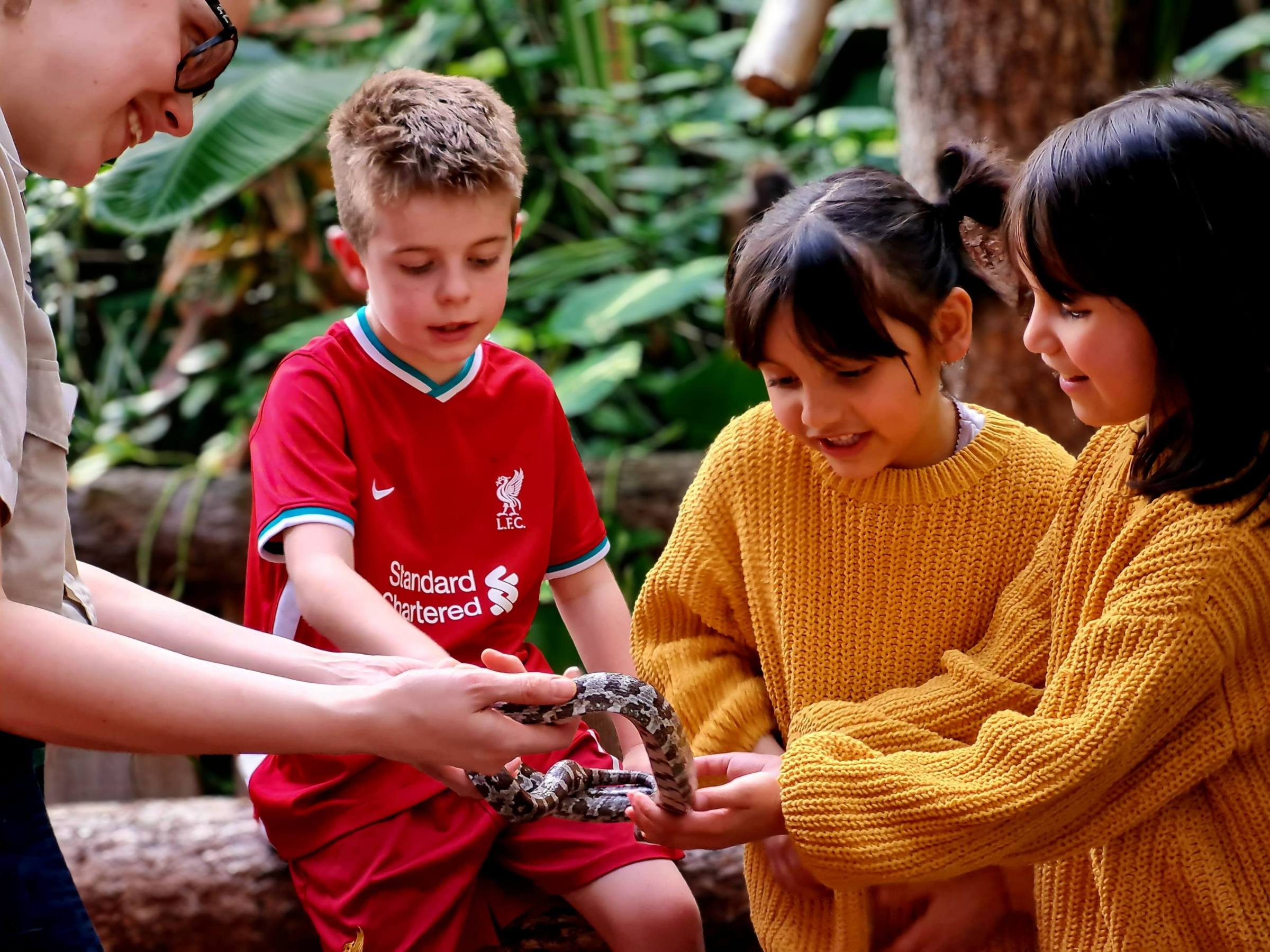 a group of young children handling a corn snake