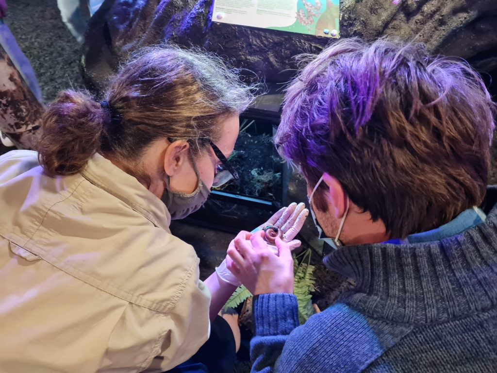 a person talking on a cell phone