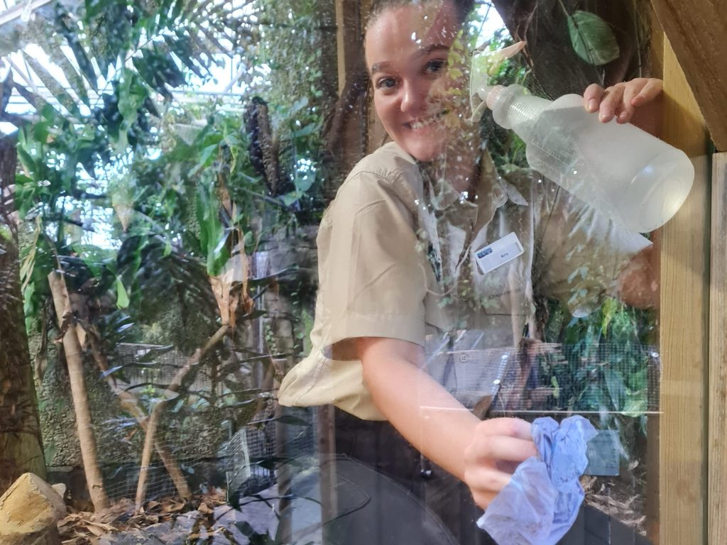 a person standing in front of a tree