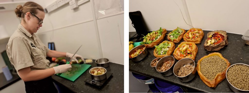 a person preparing food in a kitchen