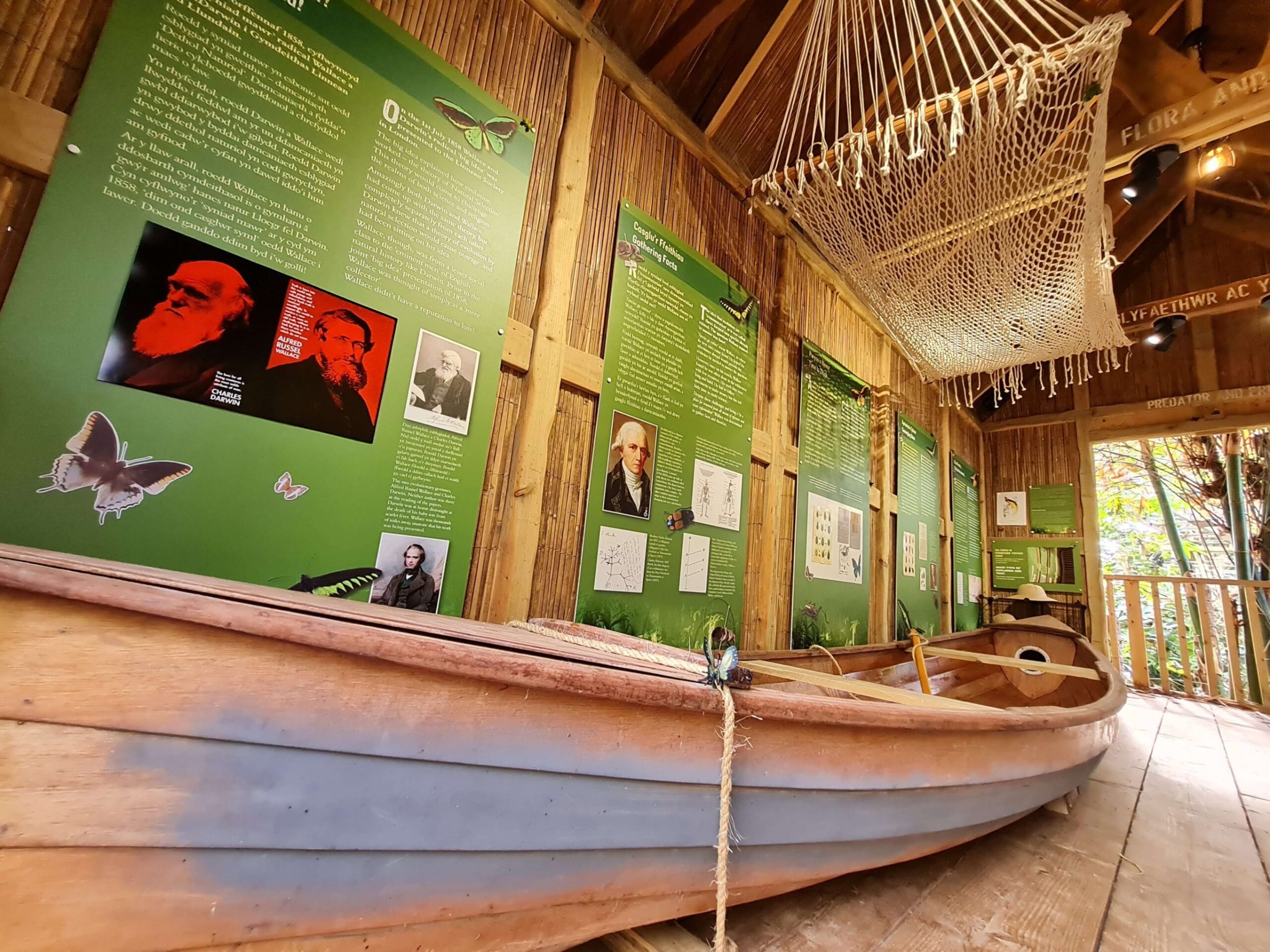 A canoe inside a treehouse exhibition