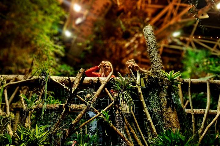 A woman standing on abridge in a jungle setting looking to camera