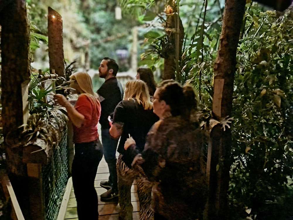 a group of people in a jungle setting looking over a bridge
