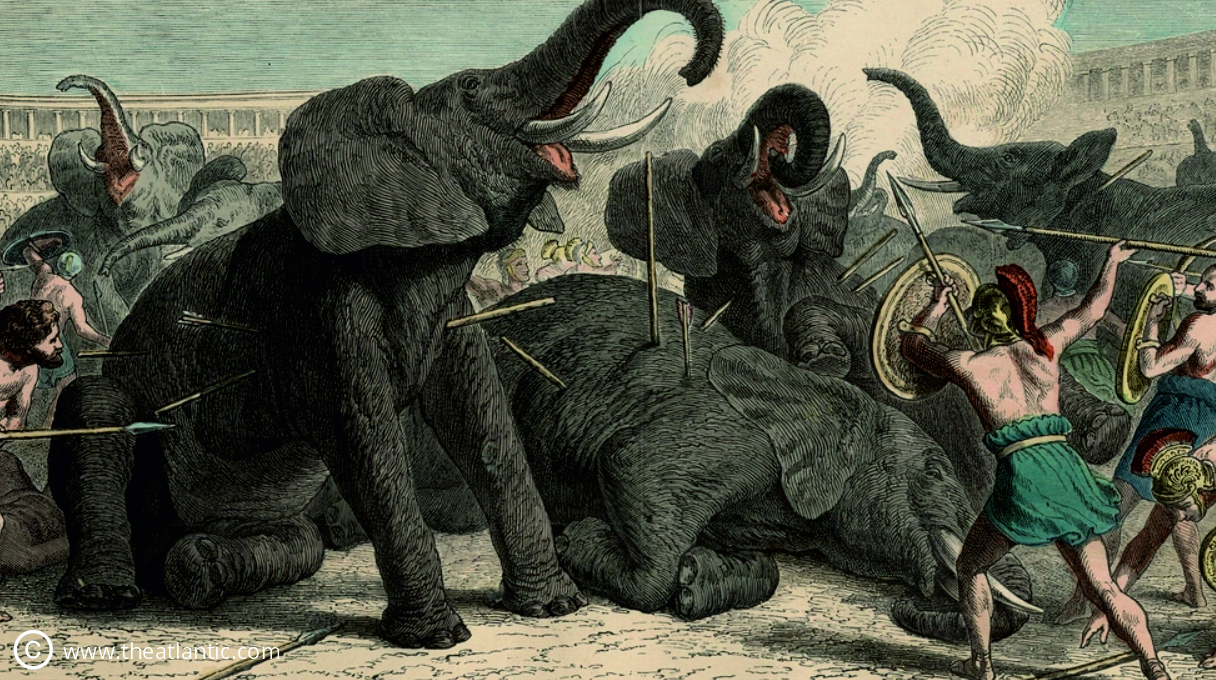 An illustration of elephants being killed with spears