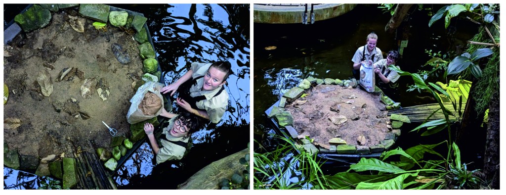 2 images of 2 zookeepers in waders standing in a pond, looking to camera