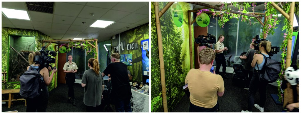 2 images of a zookeeper being filmed for tv by a film crew