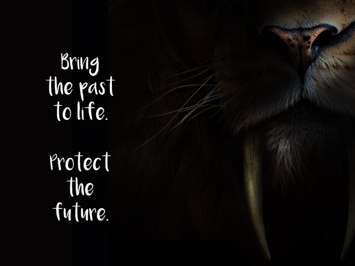 a cat with its mouth open